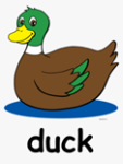 duck 2.png